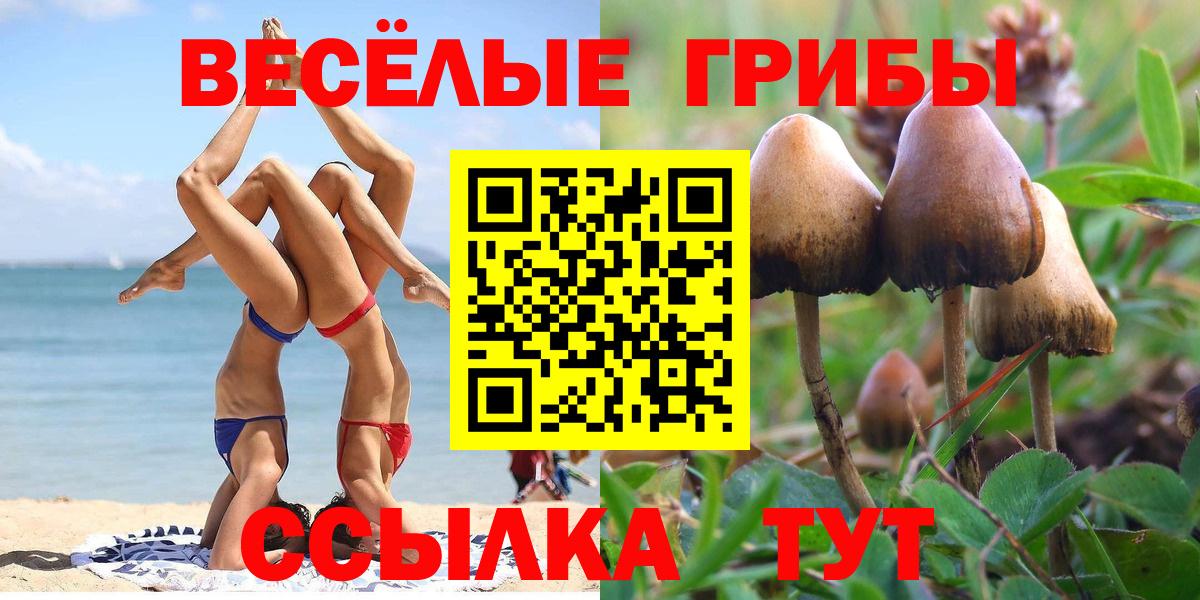 Абакан  Галлюциногенные грибы Psilocybe  Вход с VPN 