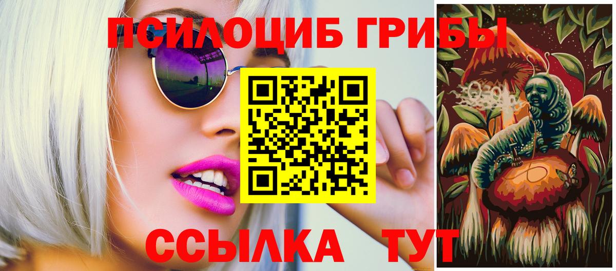 Псилоцибиновые грибы Cubensis Абакан